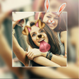 Programikonen: Photo Editor Collage Make…