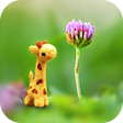 Icoon van programma: DSLR Camera Effect Maker