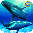 程序图标:Whale Family Simulator