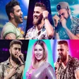Ícone do programa: músicas sertanejo sem int…