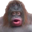 Programın simgesi: Le Monke