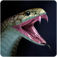 Иконка программы: Snake Wallpapers