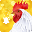 プログラムのアイコン：Animal Ringtone: Bird Rin…