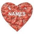 Icoon van programma: Love Test Names