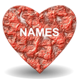 ไอคอนของโปรแกรม: Love Test Names
