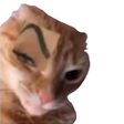 Ícone do programa: Stickers Memes - WASticke…