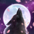Moonlight- nonogram icon