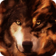 プログラムのアイコン：Wild Wolf Wallpapers