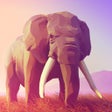 Icoon van programma: Animal School - after eff…