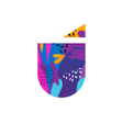 Icon of program: IUDÚ