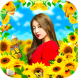 Programikonen: Sunflower Photo Frame