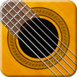 Programikon: GuitarFlex