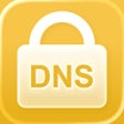 프로그램 아이콘: DNSecure