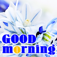 プログラムのアイコン：Good Morning Everyday