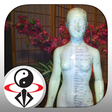 Ikona programu: Qigong for Women (YMAA)