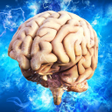 程序图标：Human Psychology Facts  T…