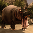 Programın simgesi: Ultimate Hippo Simulator