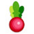 Programikonen: Funky Radish - Recipe Col…