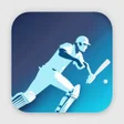 ODI Cricket World Cup 2023 icon