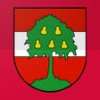 أيقونة البرنامج: Schau auf Dornbirn