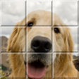 Programikonen: Slide Puzzle World