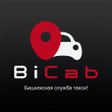 Programikonen: BiCab Taxi