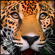 Icon of program: RawShooter