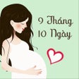 Ícone do programa: 9 Tháng 10 Ngày