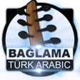 Programın simgesi: R-Electro Bağlama Turk Ar…