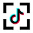 Tiktok focus icon