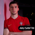 Programikonen: Portugal Football Wallpap…