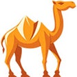 Programikonen: camel