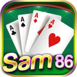 Programikonen: Samvip  Solitaire