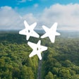 Icoon van programma: Experience Tennessee