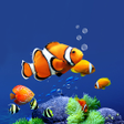 Programikonen: Aquarium Live Wallpaper H…