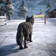 أيقونة البرنامج: Wolf Simulator Survival 3…