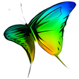 Programmsymbol: WIDI Recognition System