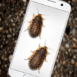 Icon of program: Bugs in Phone Funny Joke