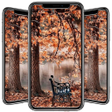Icoon van programma: Garden Wallpaper