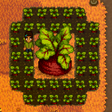 6480's Giant Crops