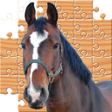 Programikonen: Jigsaw Horses