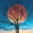 Programikonen: Moon HD Wallpapers