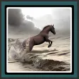 Live Wallpapers - Horses