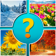 Icoon van programma: 4 pictures 1 word
