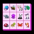 프로그램 아이콘: Connect Animal 2022
