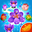 程序图标：Blossom Blast Saga