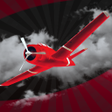Programikonen: Mr. Flying Clover