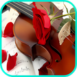 プログラムのアイコン：Violin Wallpaper