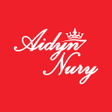 Icon of program: Aidyn Nury