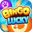 Icon of program: Lucky Number Bingo